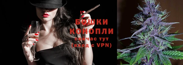 ECSTASY Лиски