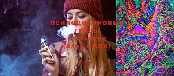 спайс Лагань