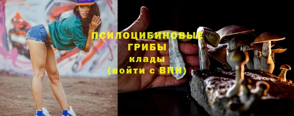 ECSTASY Лиски