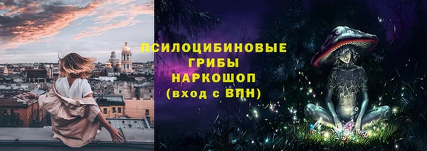 прущие грибы Лихославль